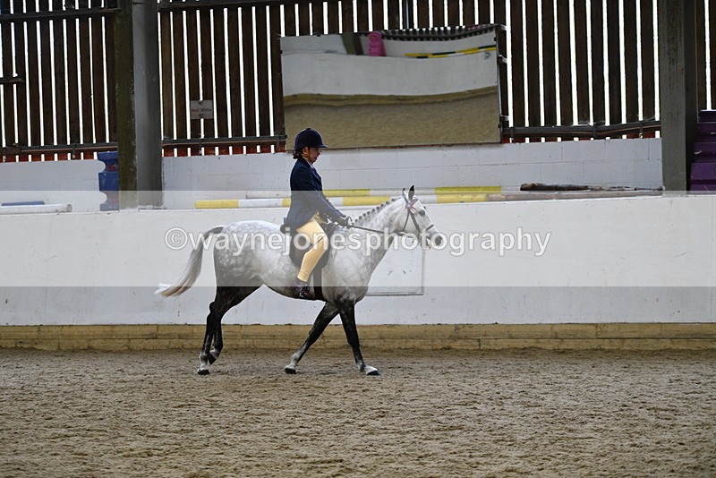 WJ5_7755 - Class 13 Ridden Part Breed