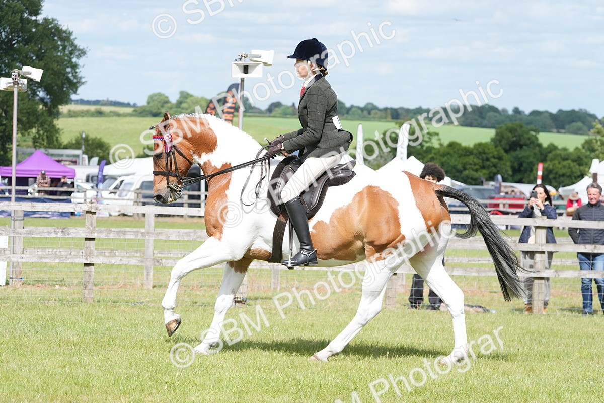 SBM_17588 - Class 107-108 - LIHS BSPS Performance Coloured Horse Pony