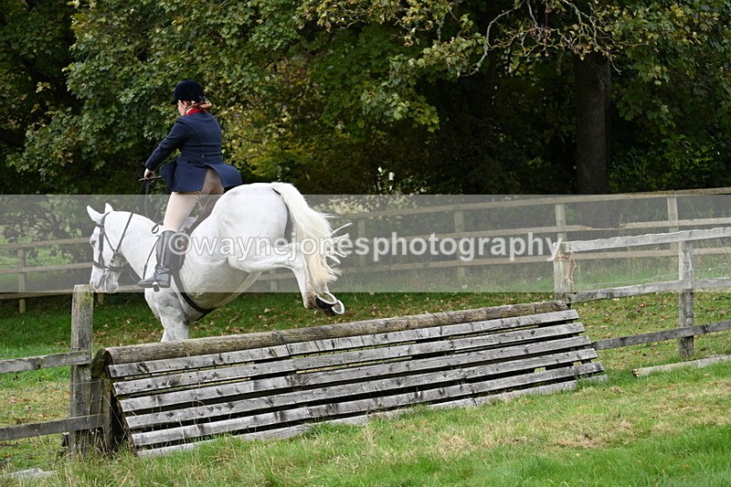 WJ7_4713 - Camera 1 Line 3