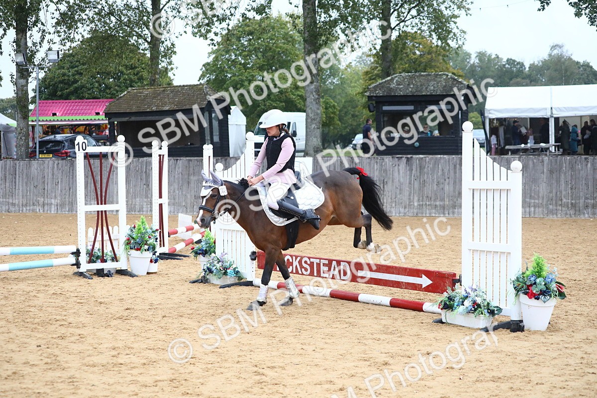 SBM_71614 - J4 - Mini Tour Junior Pony 45cm Championship