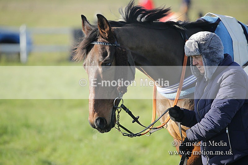PtP 011219-0033 - Hursley Hambledon Hunt Point-to-Point 01/12/19