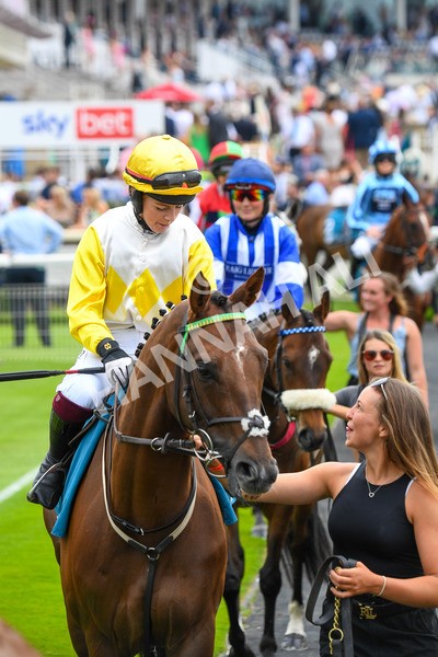 170623-Race 1-Kihavah-0104 - Race 1 2.00pm Queen Mother's Cup Handicap