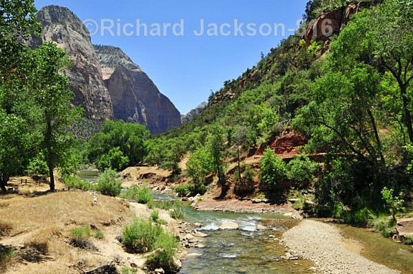 Image - #1 - Zion National Pk. -  2012