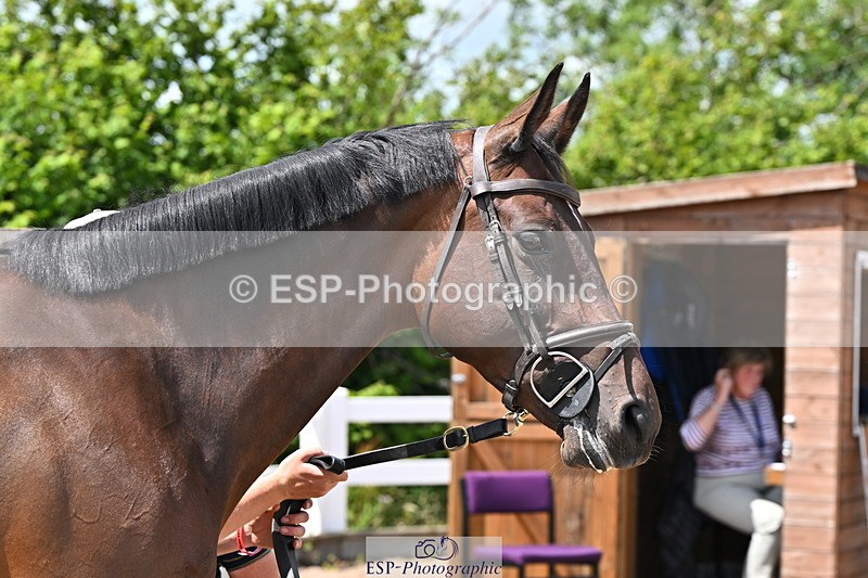240718A-105313-01721 - Trot Up 1pm to 2pm