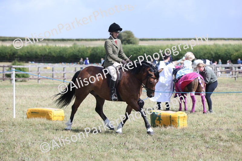 20250831-2923 - Class 19 - Mountain and Moorland