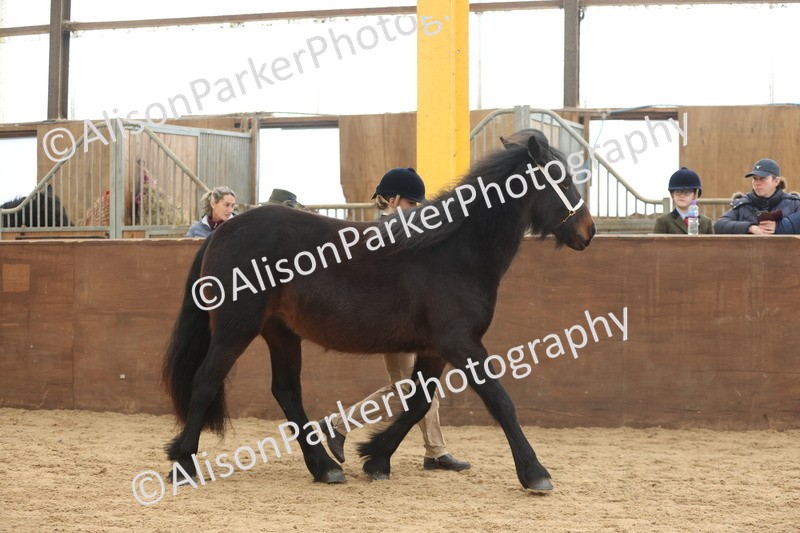 20251109-0926 - Class 26 - 2 and 4 Year Olds