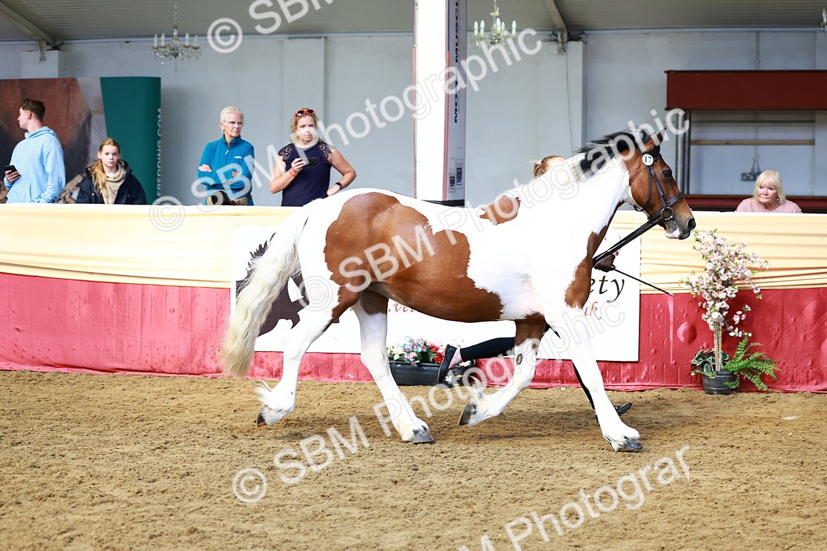 SBM_23040 - Class 903 - Supreme Final - IH Pre Vet