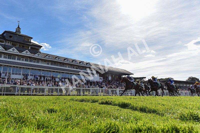 160924-Race 3-Moostar-6553 - Race 3