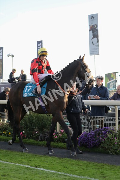 yr07102022r7-5 - Race 7 5.35pm IRE Incentive, It Pays To Buy Irish Stakes