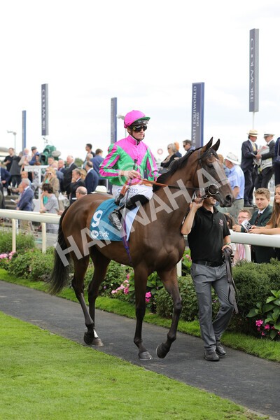 yr19082022r5-4 - Race 5 4.10pm Assured Data Protection EBF Fillies' Stakes