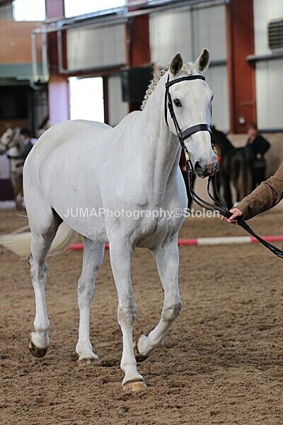 SIAL9968 - Indoor Classes