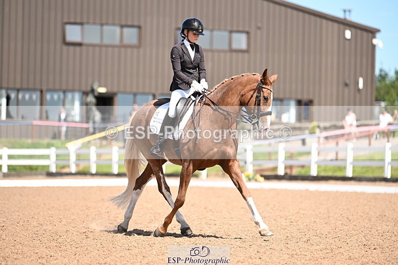 240816A-131726-05020 - 113-Ruby.Gumbley-Nova's.Golden.Dream