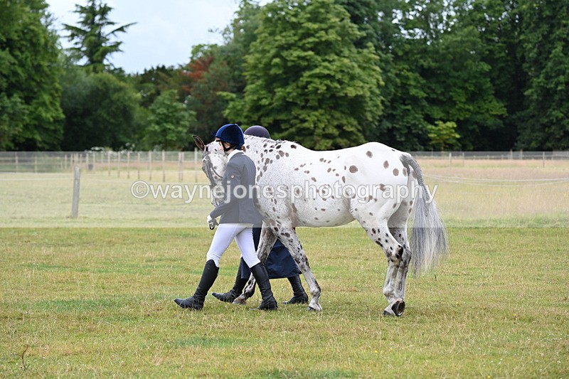WJ6_8759 - Class 10 Coloured in-hand