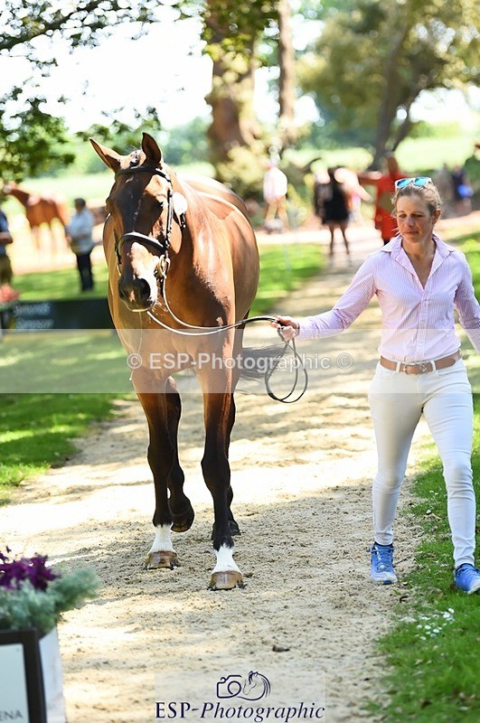 230524-150400-00045 - 305-BARRINGTON_57-Izzy_Taylor-WEDTrotUp+DR