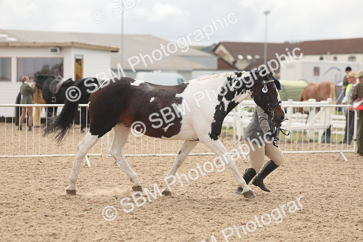 SBM_02061 - Class 15 - IH Coloured