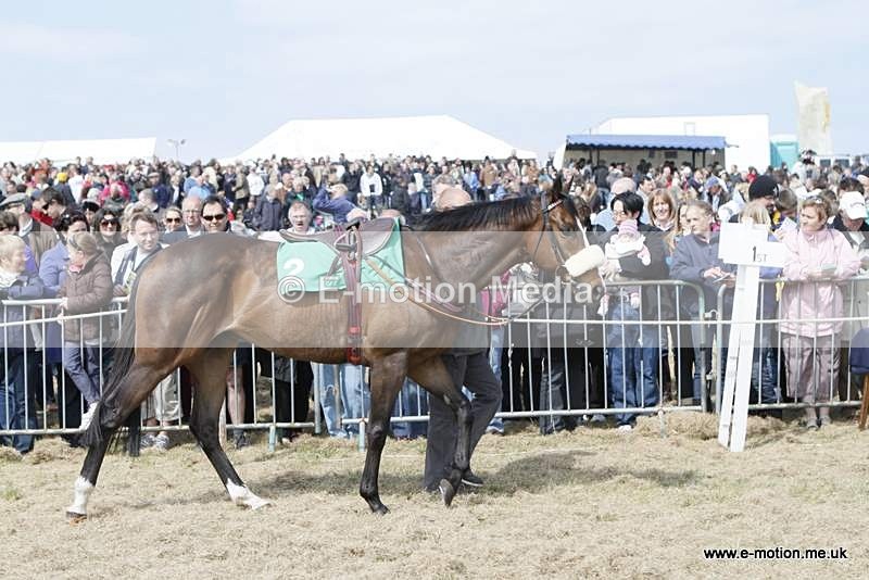 GRD 030510 17 - Guernsey Race Day 03/05/10