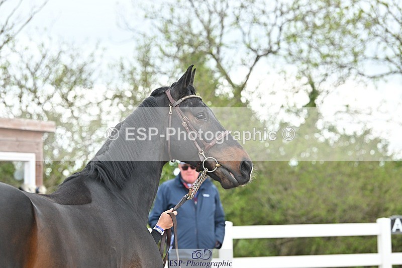 250423-130554-00439 - 1pm to 2pm