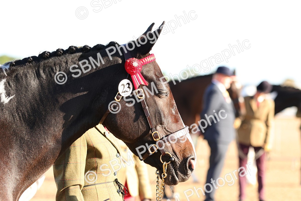 SBM_08043 - Class 201 - Best Turned Out - IH
