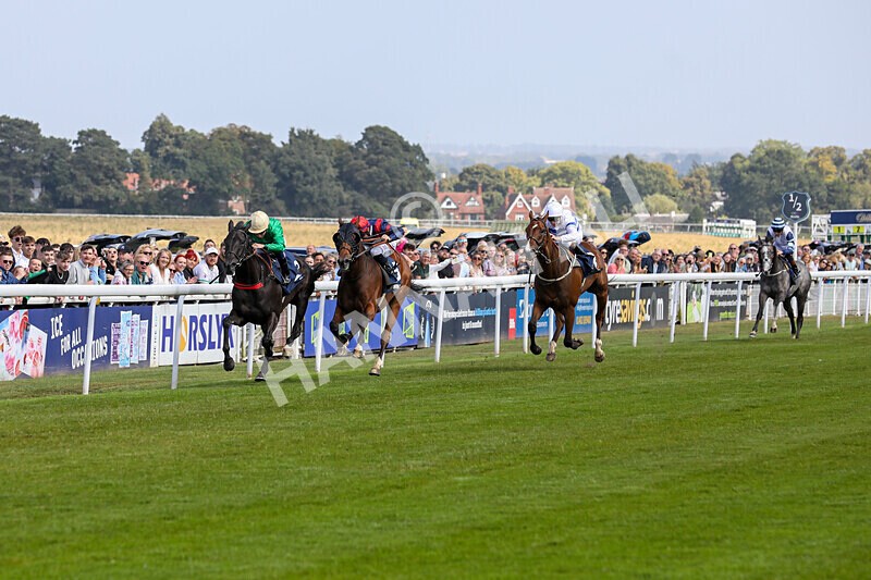 310824-Race 1-Quietness-0959 - Race 1