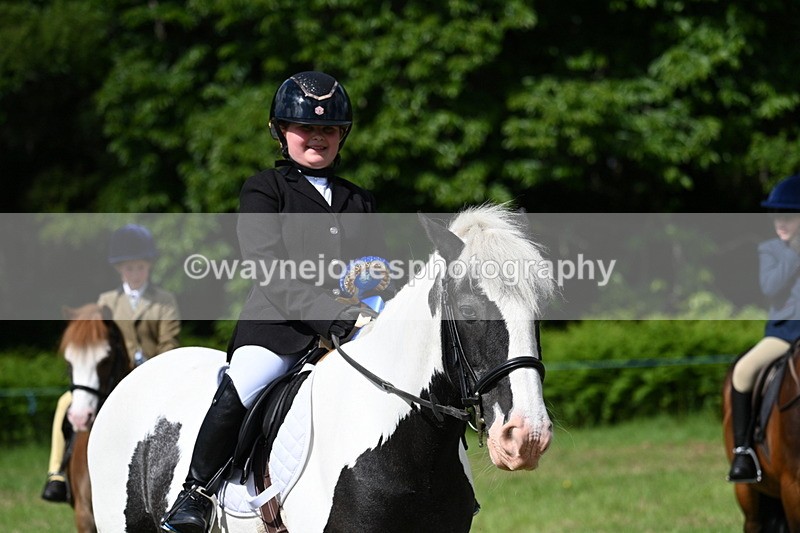 WJ7_0816 - Class 8 First Rally Pony
