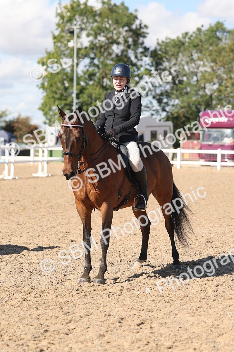 SBM_13120 - Class 305 - Ridden Foreign Breed Pure Bred