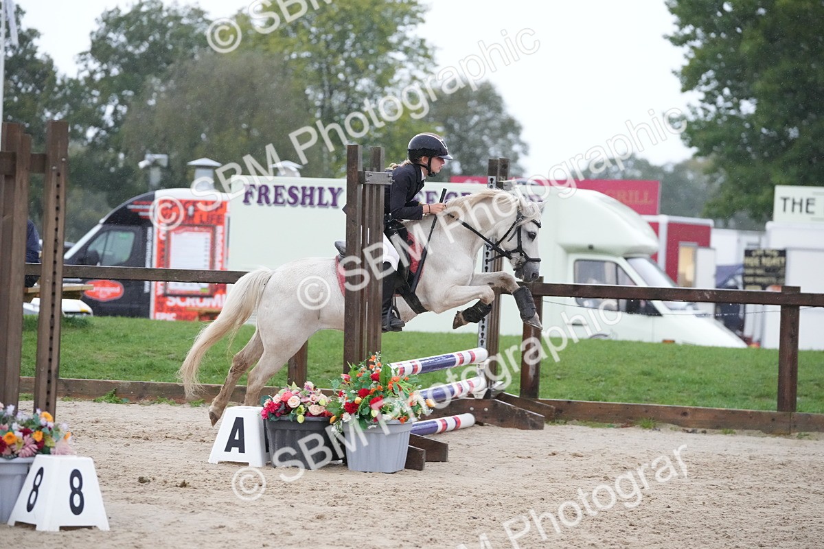 SBM_33587 - J5 - Junior Pony 50cm Championship