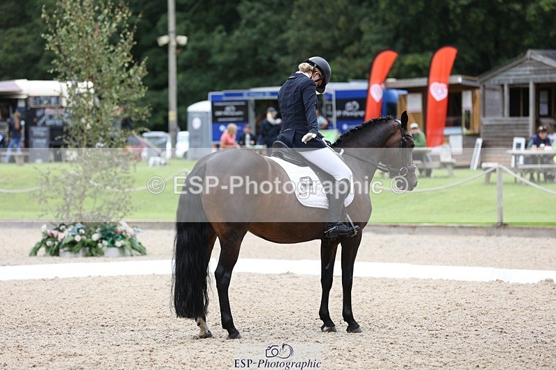 230813-120717-07031 - Cls 11 Elem Bronze 11.10 to 12.20 break