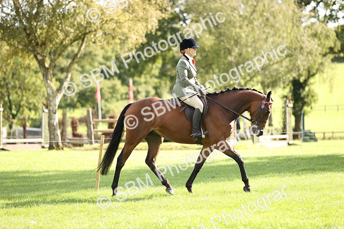 SBM_26372 - S6 - Novice & Newcomers Ridden Horse