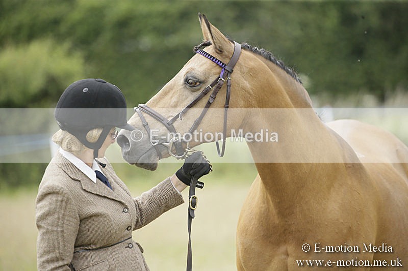 B230619-0571 - Bourne Valley Riding Club Summer Show 23/06/19