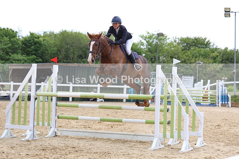 3E7A7476 - Class 8: Senior Foxhunter/1.20 open