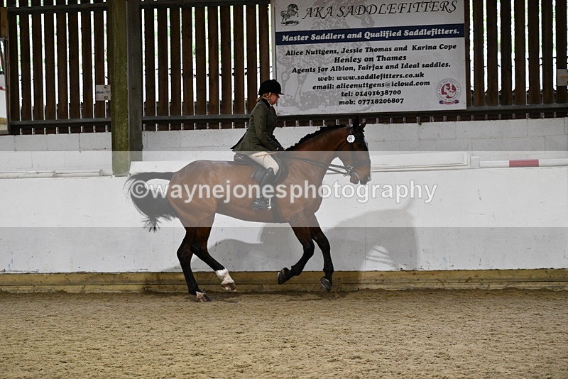 WJ5_8868 - Class 15 Ridden Show Horse