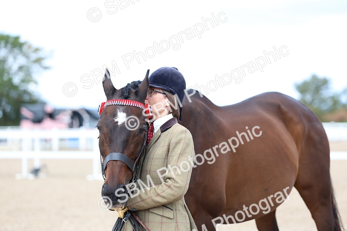 SBM_15290 - Class 313 - IH Retired Racehorse