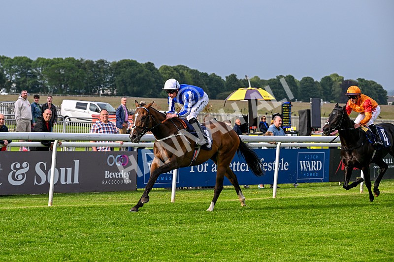 160626-Race 1-Waasil-3185 - Race 1 18.30pm Napoleons Casino Hull Dine In Style From £35 EBF Novice Stakes