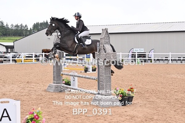 BPP_0391 - CLASS 27 SUN 6 Year Old Non Qualifier