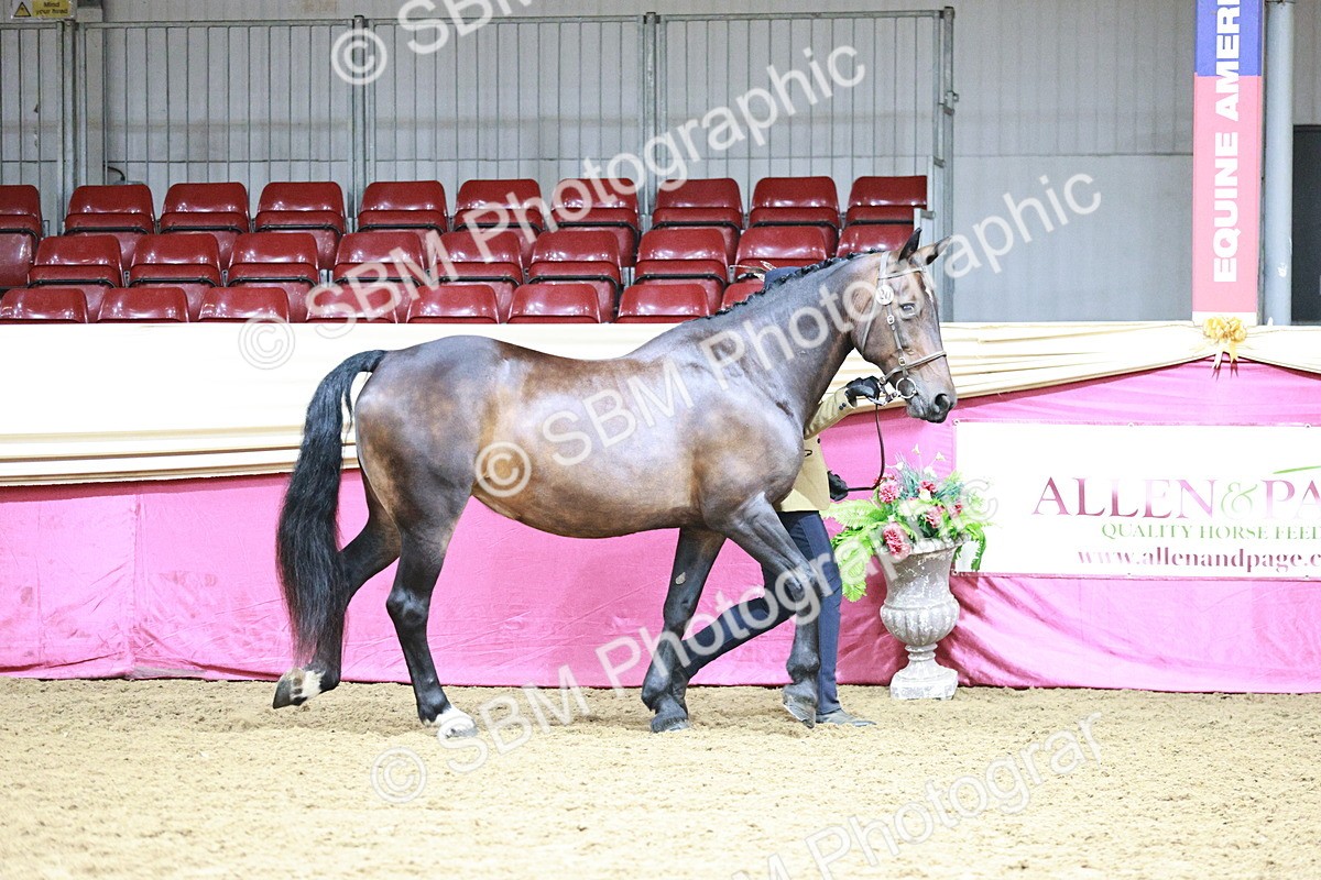 SBM_00852 - Class 2A - Area IH Veteran