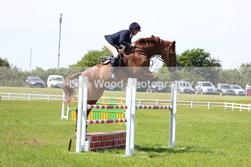 3E7A1256 - Class 12: Senior Foxhunter/1.20 open