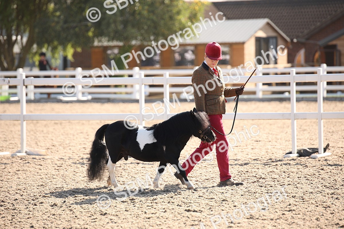 SBM_01431 - Class 15 IH Coloured