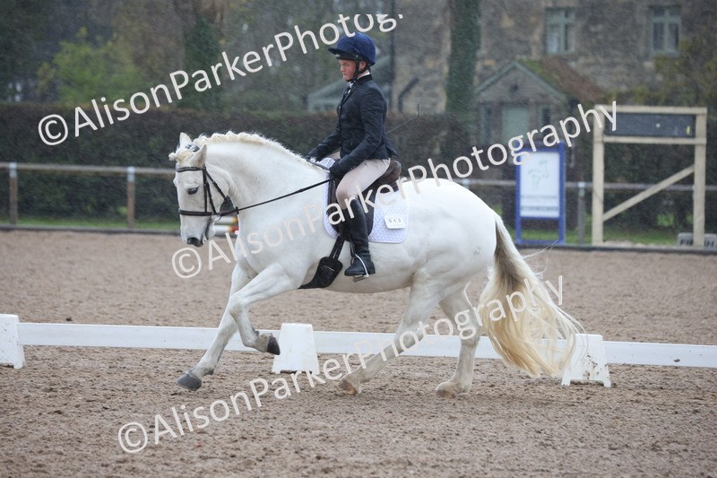 20251206-0442 - Class 5 - Novice 2