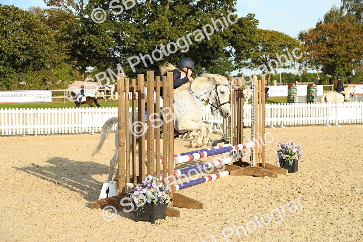 SBM_53697 - J8 - Junior Pony 65cm Championship