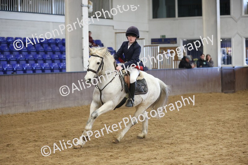 20260314-0529 - 60cm