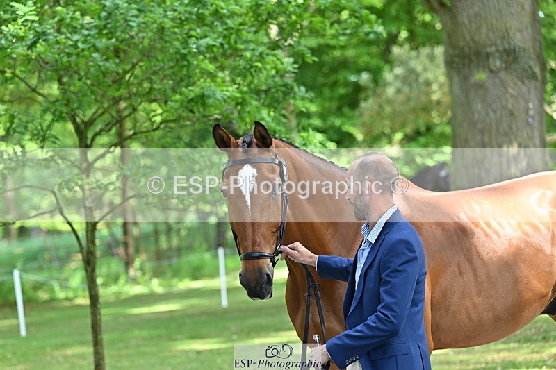 250521A-155142-00808 - B-375-Lucas.Poole-GERDEAKER