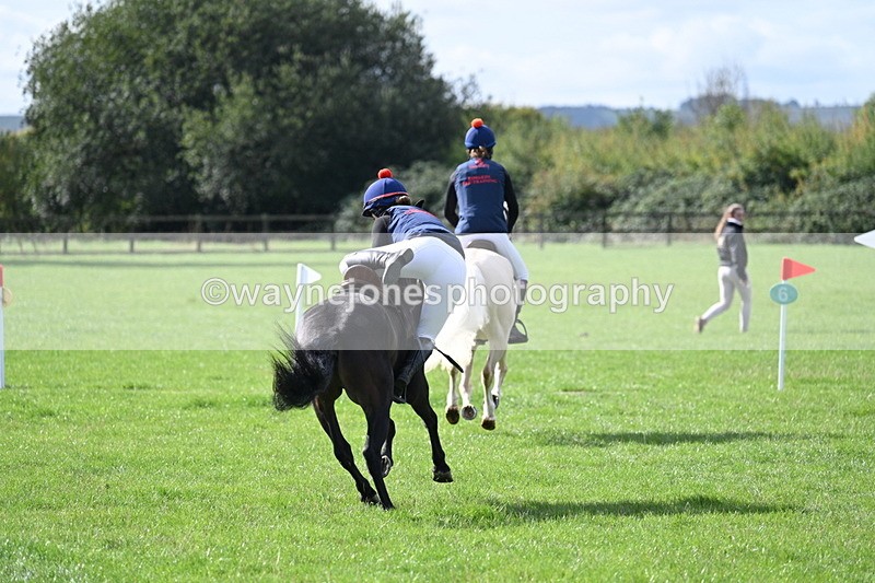 WJ7_8515 - 60cm Pairs