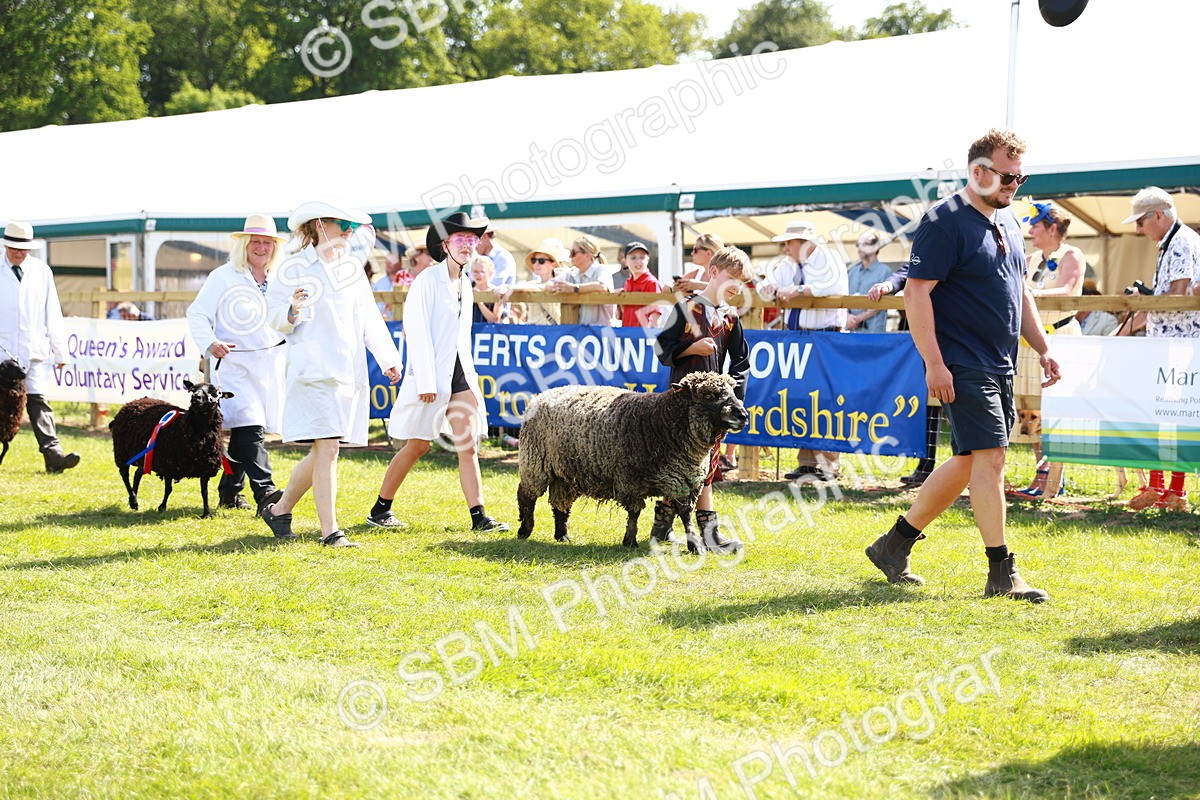 SBM_08389 - Grand Parade