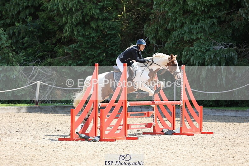 250614A-110817-05915 - Cls 26 British Novice and 90cm Open