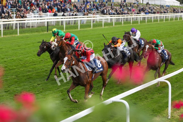 131023-Race 4-Hafeet Alain-9818 - Race 4 3.50pm William Hill Autumn Mile Handicap