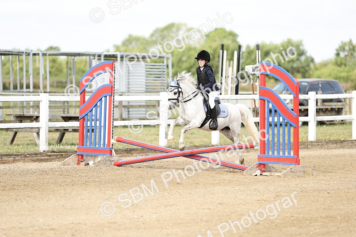 SBM_003261 - 40cm showjumping