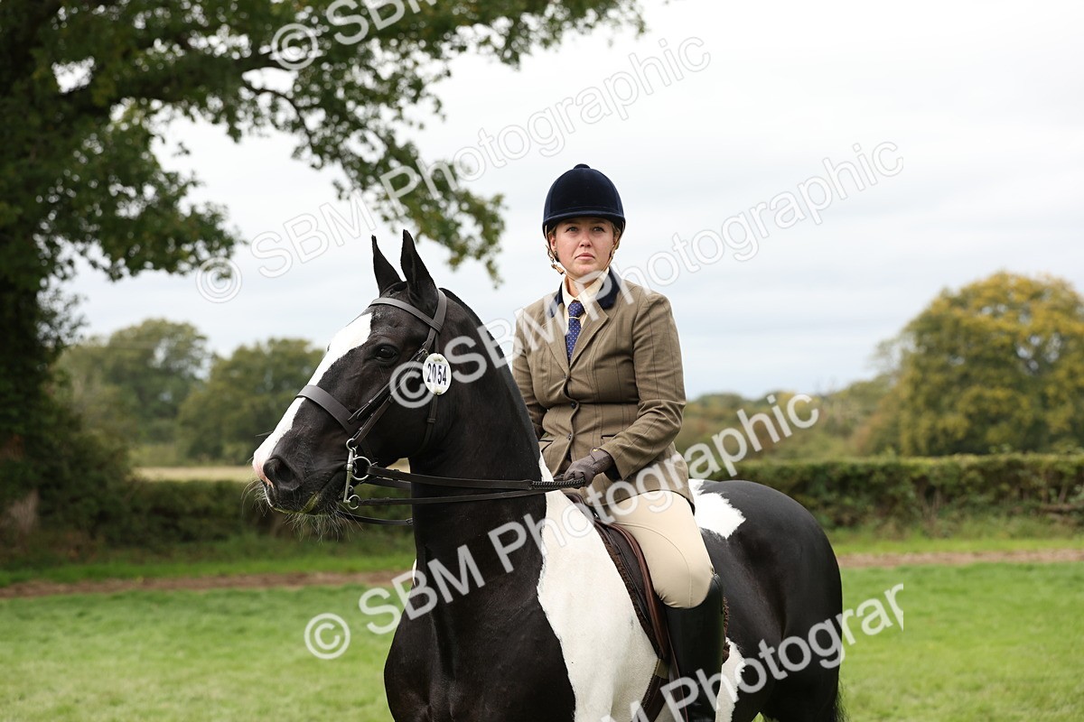 SBM_67288 - S67 - Piebald & Skewbald Horse Ridden