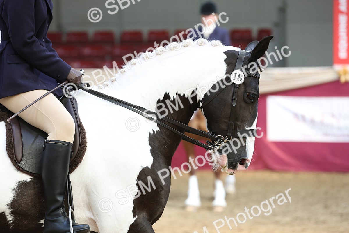 SBM_23758 - class 906 - Supreme Final - Ridden Pre Vet