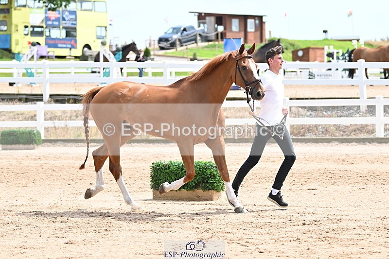 240717A-144248-02220 - Trot Up 2pm to 3pm - This folder is not in time order