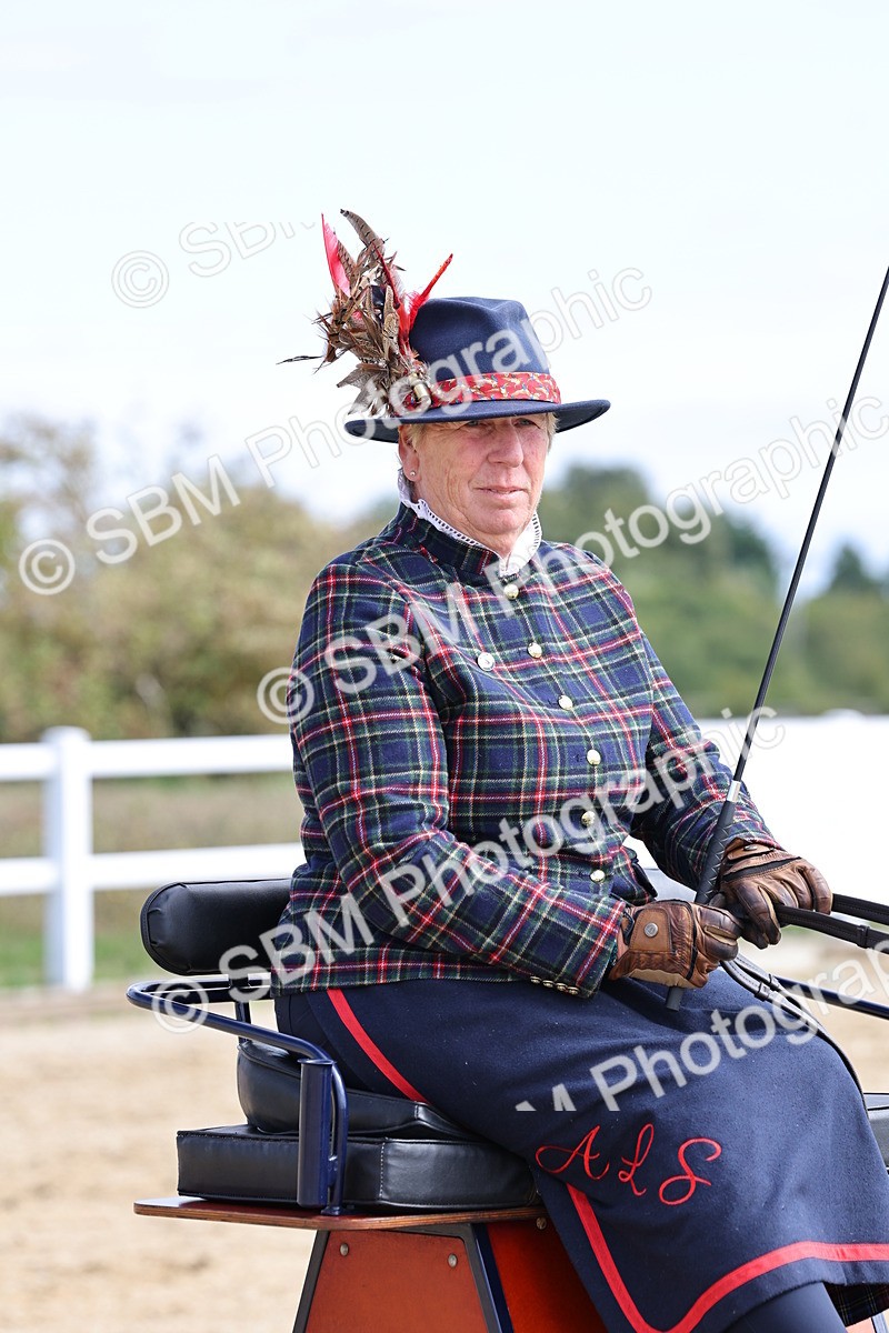 SBM_000933 - Class 8 - Novice Horse or Pony to any vehicle